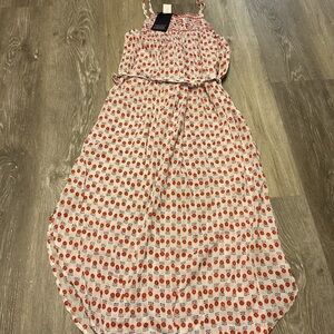 GAP Red and Blue Floral Dress